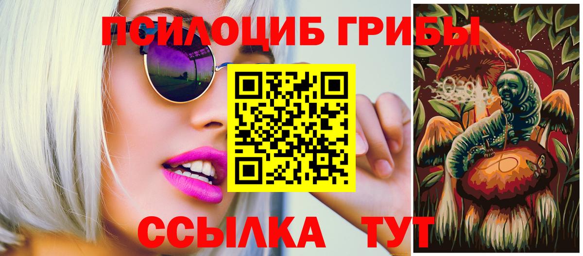 Галлюциногенные грибы прущие грибы  Вход с VPN  купить наркотики цена  Краснознаменск 