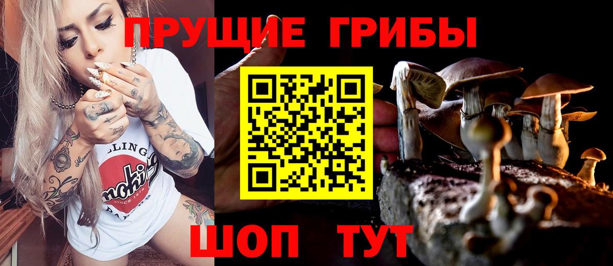 Галлюциногенные грибы MAGIC MUSHROOMS Краснознаменск