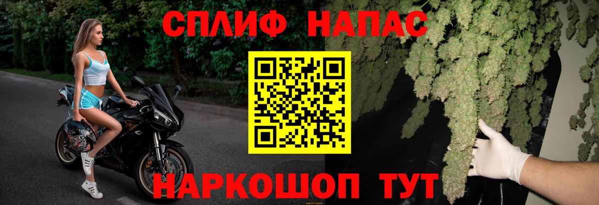Каннабис планчик Краснознаменск